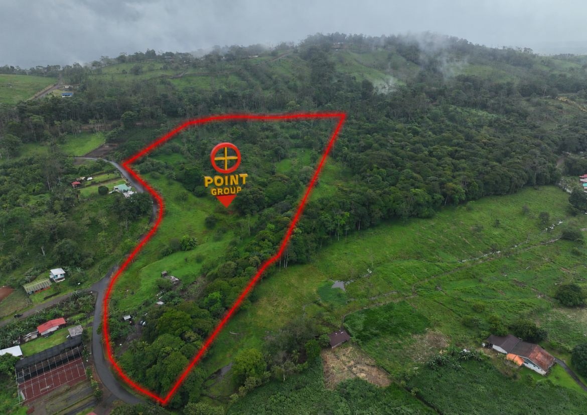 Finca en la Palmera, San Carlos